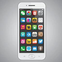 Cell Phone Application